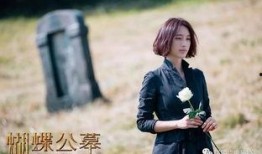 女蝶在线观看,穿越时空的美丽传奇